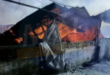 Voraz Incendio Afecto Plantel Porcino En Los Niches 1